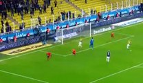 Magaye Gueye  Goal HD - Fenerbahce	0-1	Adanaspor AS 15.01.2017