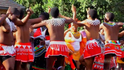 Reed Dance Virgins - Amatshitshi pt1