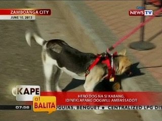 KB: Hero dog na si Kabang, idineklarang dogwill ambassador