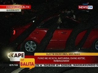 KB: Puno ng acacia, natumba; isang kotse, nabagsakan