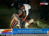 NTG: Hero dog na si Kabang, masayang sinalubong ng buong pamilya ng kanyang amo