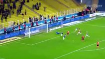 Roni GOAL HD Fenerbahce 1-2 Adanaspor AS 15.01.2017