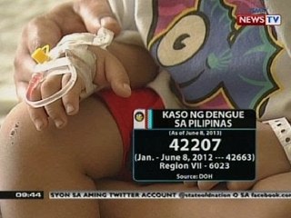 Pagpapakawala ng mga lamok na may Wolbachia Bacteria, posibleng pangontra sa dengue