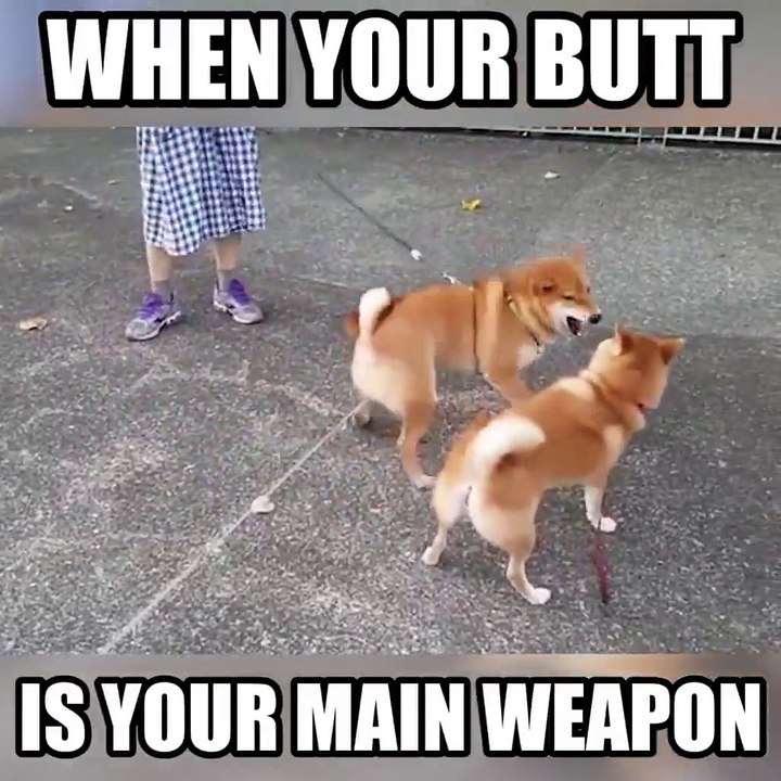 When your Butt is your Main Weapon