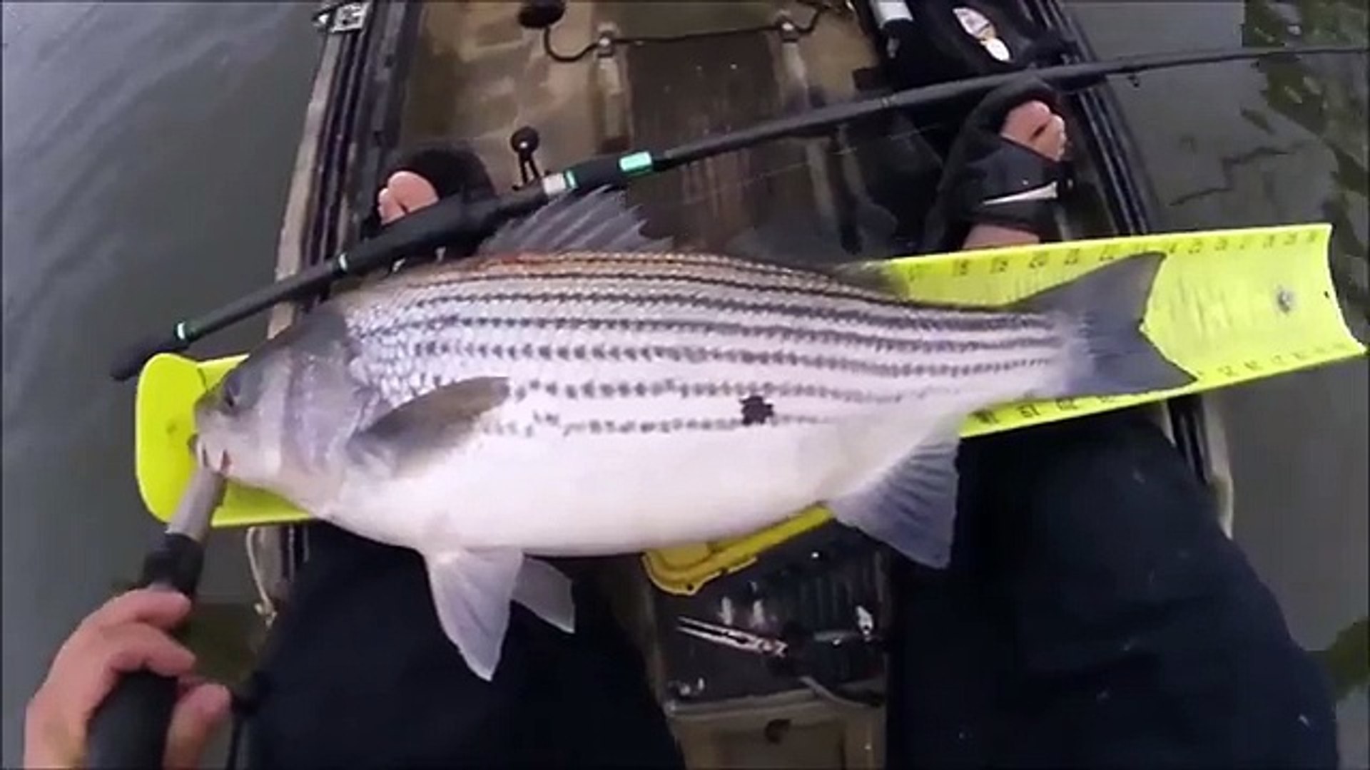 Kayak Fishing