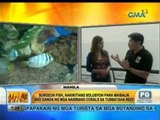 Unang Hirit: Bagong Atraksyon sa Manila Ocean Park