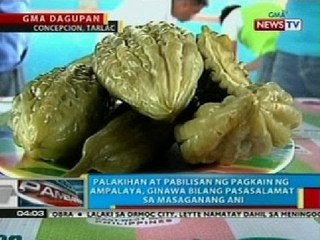 BP: Palakihan at pabilisan ng pagkain ng ampalaya, ginawa ng mga Tarlakenyo