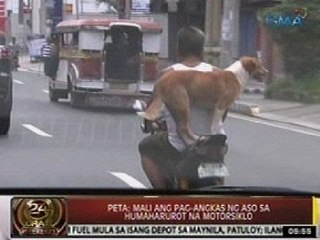 24 Oras: Aso, nakunan ng video habang pilit na nagbabalanse sa motorsiklo sa Maynila