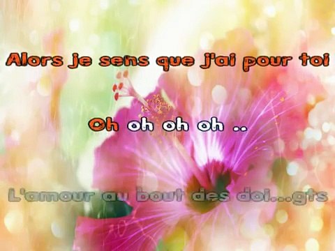 Mike Brant - Laisse-moi t'aimer KARAOKE / INSTRUMENTAL