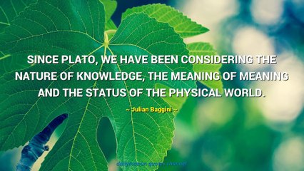 Julian Baggini Quotes #4