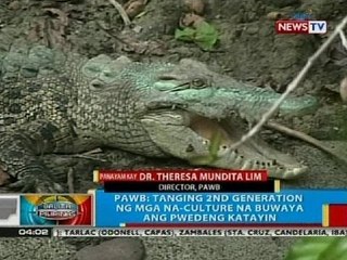 BP: Panayam sa director ng PAWB kaugnay sa binuksang katayan ng buwaya sa Davao del Norte