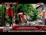 SONA: Ilang bagong hinihinalang kaso ng chikungunya, naitala sa  iba't ibang bahagi ng bansa