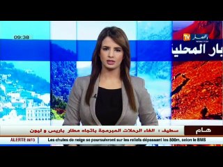 تريبة الدواجن..مشاريع ناجحة ينتهجها شباب الصحراء بعين صالح