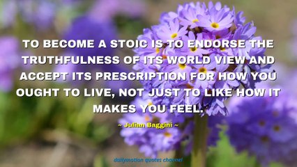 Julian Baggini Quotes #5