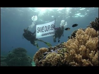 Green Peace on Apo Reef