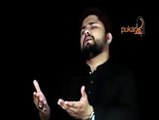 Syed Raza Abbas Zaidi | Noha Shahadat-e-Mola Ali a.s | Kofay Main Karbala ka