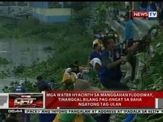 QRT: Mga water hyacinth sa Manggahan Floodway, tinanggal bilang pag-iingat sa baha ngayong tag-ulan