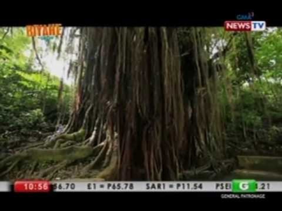 Biyahe ni Drew: Siquijor's giant balete tree and fish spa