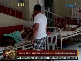 24 Oras: Pagkalat ng sakit na chikungunya, pinangangambahan