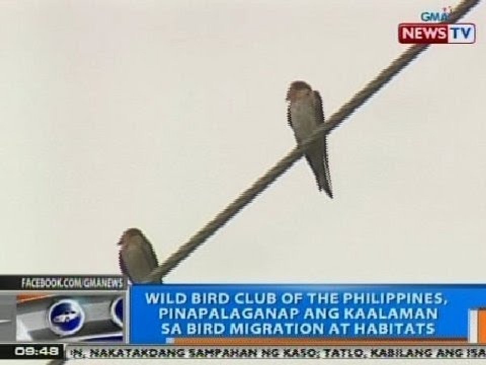 NTG: Wild Bird Club of the Philippines, pinapalaganap ang kaalaman sa bird migration at habitats