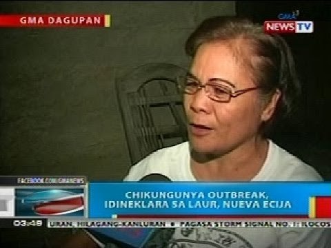 BP: Chikungunya outbreak, idineklara sa Laur, Nueva Ecija
