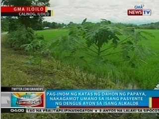 BP: Pag-inom ng katas ng dahon ng papaya, nakagamot sa isang pasyente ng dengue sa Iloilo