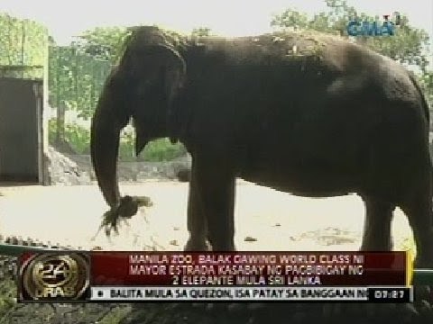 24 Oras: Manila zoo, balak gawing world class ni Mayor Estrada