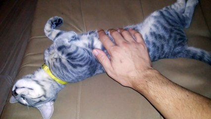 keyif yapan duman ))