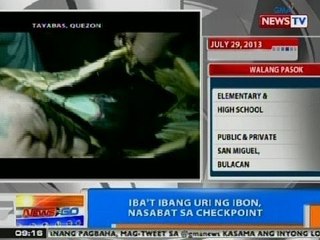 NTG: Iba't ibang uri ng ibon, nasabat sa checkpoint sa Tayabas, Quezon
