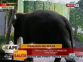 KB: Panlasa ng Masa: Dapat bang ilipat si Maali sa sanctuary?