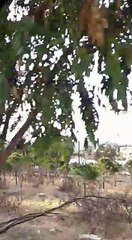 يا من هواه اعزه واذلني