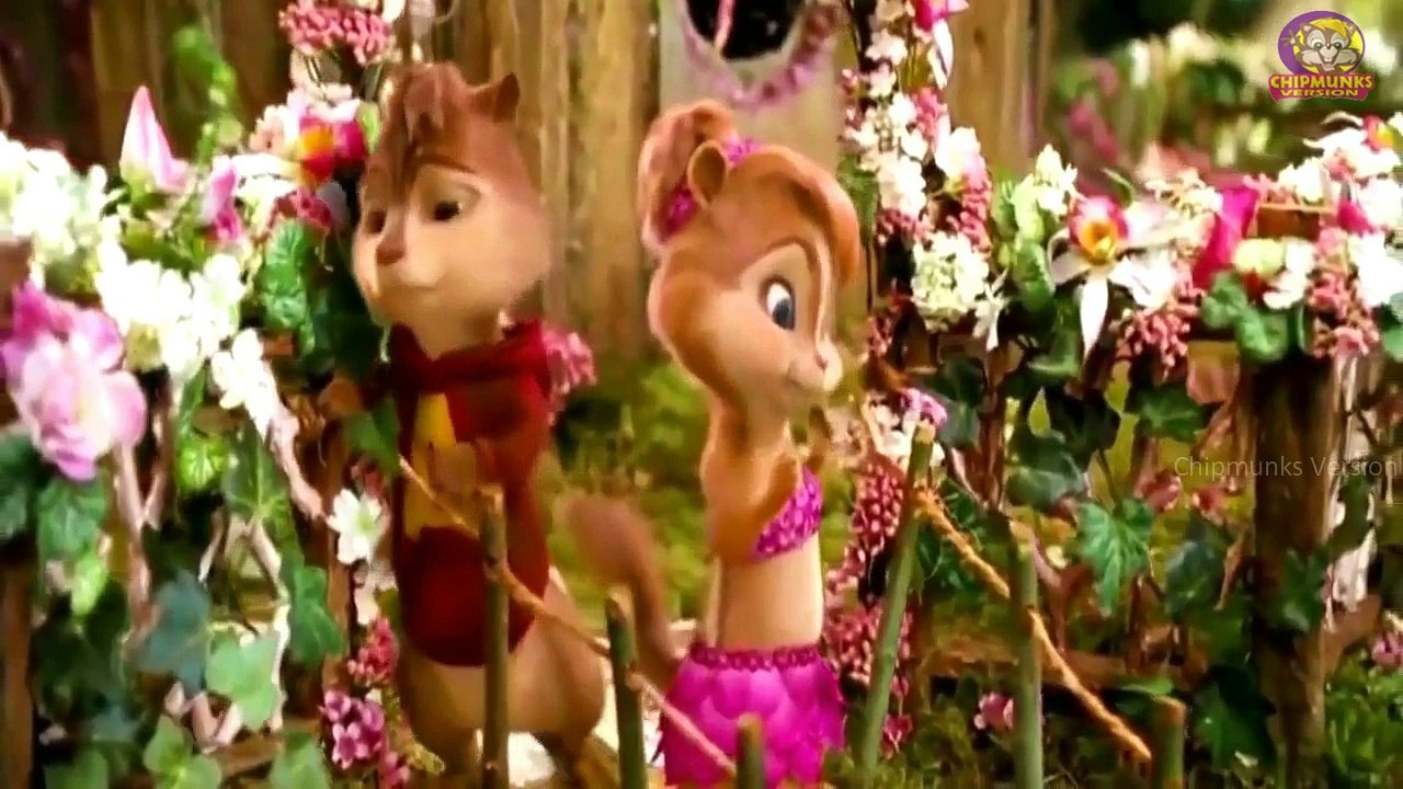 Bawara Mann Video Song | Jolly LLB 2 | Akshay Kumar Huma Qureshi | Chipmunks Version