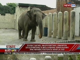 SONA: Zoobic Safari, nagpresentang umampon sa elepanteng si Mali