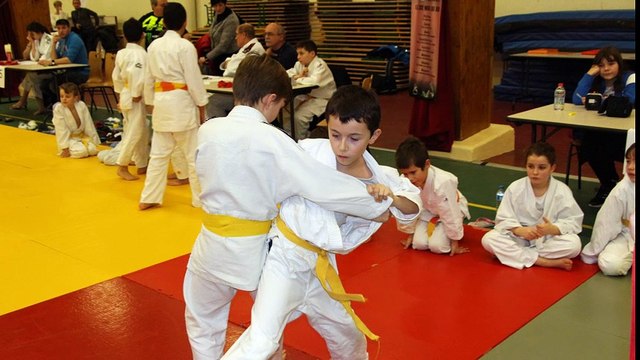 Dojo Ennery 57 petit senshi 2017 poussins