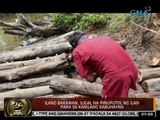 24Oras: Ilang bakawan sa Palawan, iligal na pinuputol ng ilan para sa kanilang kabuhayan