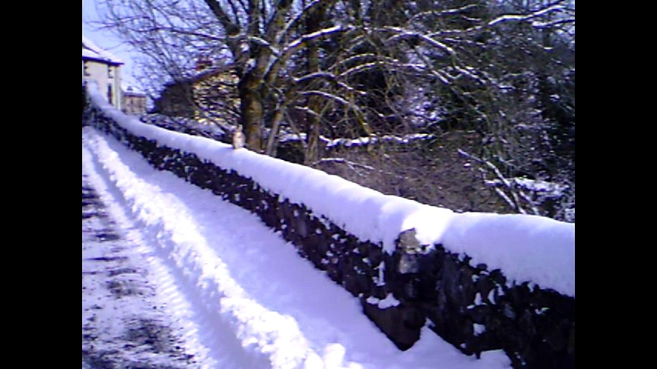 2017-01 Neige et Sparklehorse