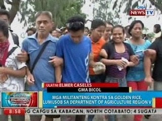 BP: Mga militanteng kontra sa golden rice, lumusob sa DA Region V