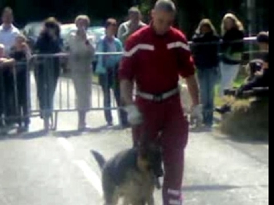DEMONSTRATION DES CHIENS POMPIERS