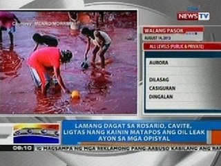 Lamang dagat sa Rosario, Cavite, ligtas nang kainin matapos ang oil leak, ayon sa mga opisyal