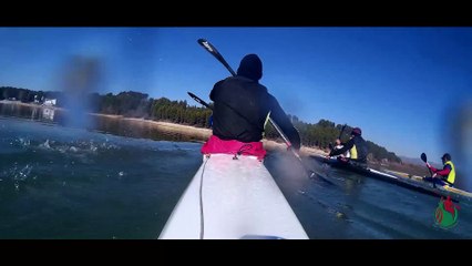 Paleando el 31 de diciembre Film