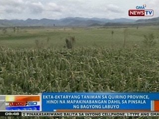 NTG: Ekta-ektaryang taniman sa Quirino, hindi na mapakinabangan dahil sa pinsala ng Bagyong Labuyo