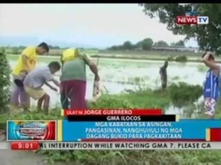 BP: Mga kabataan sa Pangasinan, nanghuhuli ng mga dagang bukid