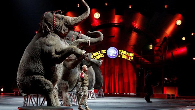 USA: dopo 146 anni chiude il circo Barnum