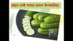 Benefits of Cucumbers 2017