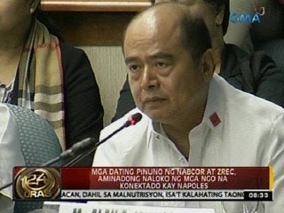 Mga dating pinuno ng Nabcor at ZREC, aminadong naloko ng mga NGO na konektado kay Napoles