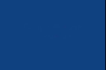 El Grupo Mango - Modesty (ensayo)