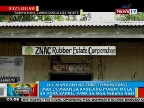 BP: OIC ng ZREC, itinangging may dumaan sa kanilang pondo mula sa pork barrel para sa mga pekeng NGO