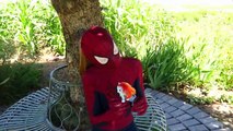 Frozen Elsa Spiderman vs Real Rainbow Unicorn Spidergirl Joker Hulk Deadpool Funny Superhero Prank