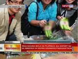 BT: Mga saging mula sa Pilipinas, nai-export na sa Amerika sa kauna-unahang pagkakataon