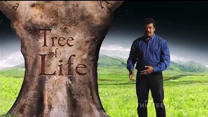 Where did we come from - Documentary with Neil DeGrasse Tyson